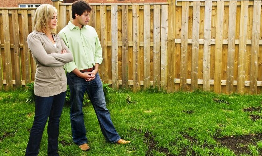 Common Lawn Problems and How to Fix Them