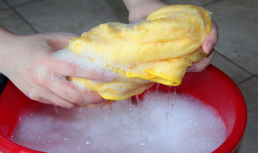 Rent the Tools You Need To Get Your Spring Cleaning Complete