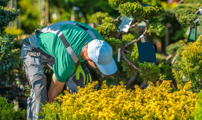 Spring Into Action- How to Kickstart May Projects (1)