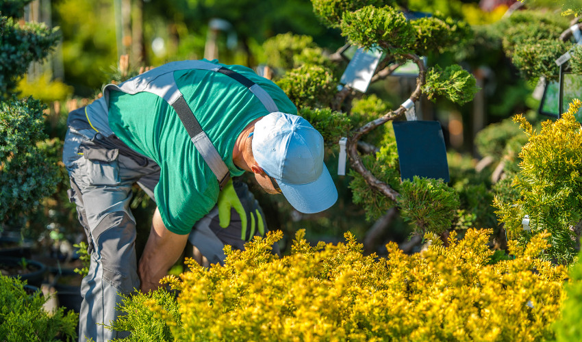 Spring Into Action- How to Kickstart May Projects (1)