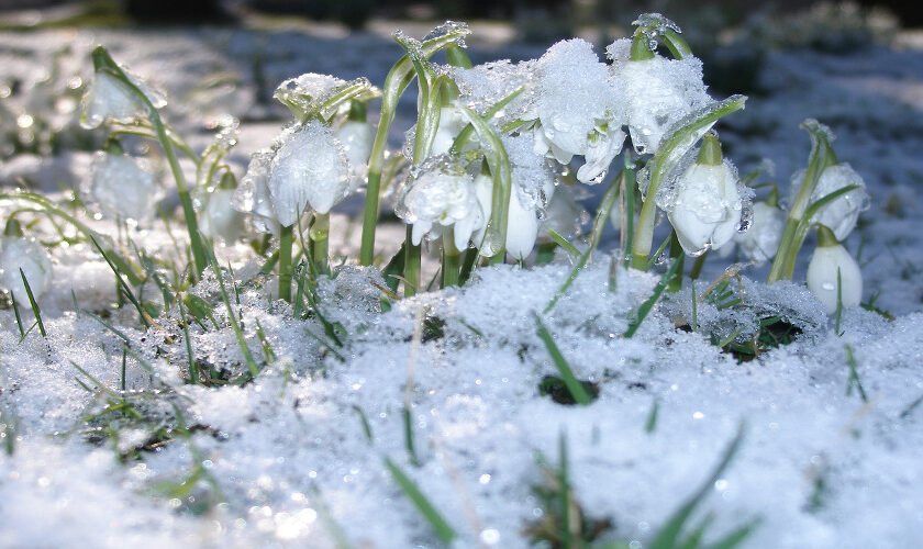 Spring Maintenance- What Equipment to Rent for After the Snow Melts