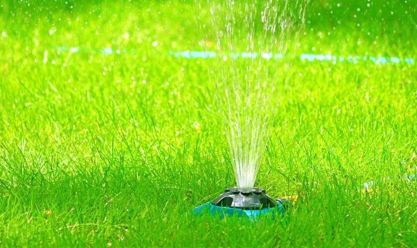 Summer Lawn Care Schedule