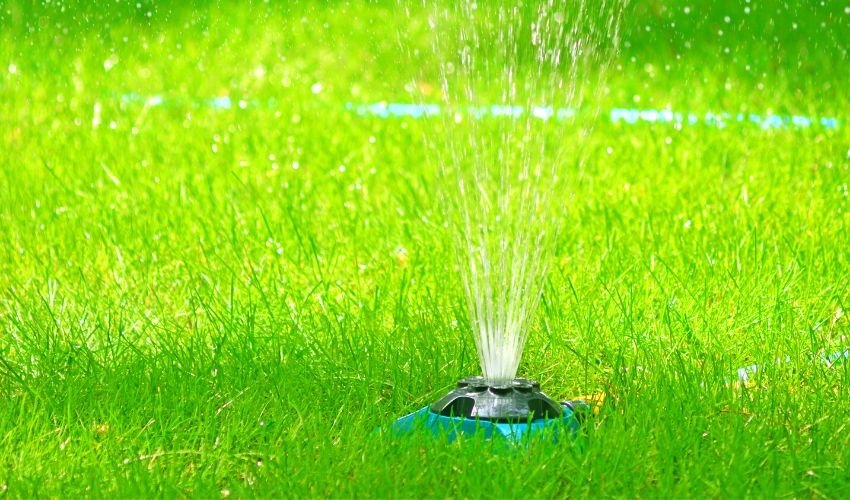 Summer Lawn Care Schedule