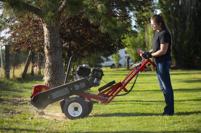 Medium Walk-Behind Stump Grinder Rental