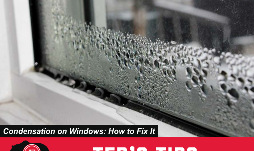 Condensation-on-Windows-How-to-Fix-It_1350x1080 (1)