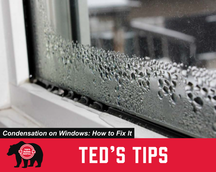 Condensation-on-Windows-How-to-Fix-It_1350x1080 (1)