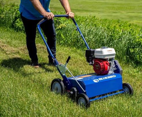 Power Rake / De-Thatcher